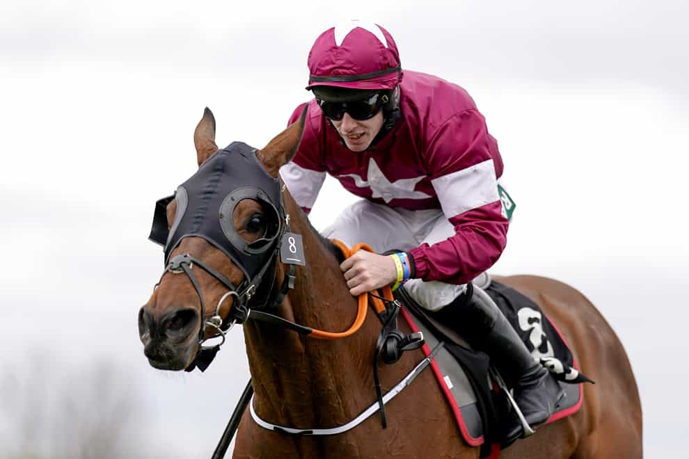 Tiger Roll will not run in this year’s Randox Grand National at Aintree (Alan Crowhurst/PA)