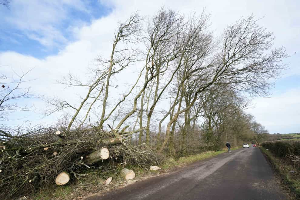 Fallen trees on a road in Little Hay, north Birmingham (Jacob King/PA)