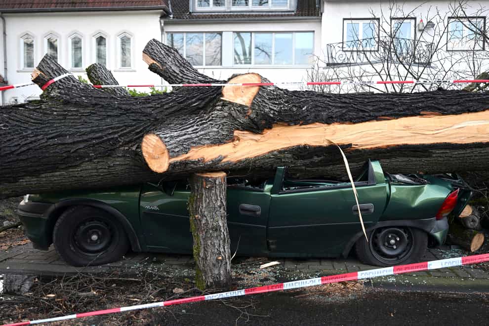 A car is destroyed by a fallen tree in Cologne, Germany (Federico Gambarini/dpa via AP)