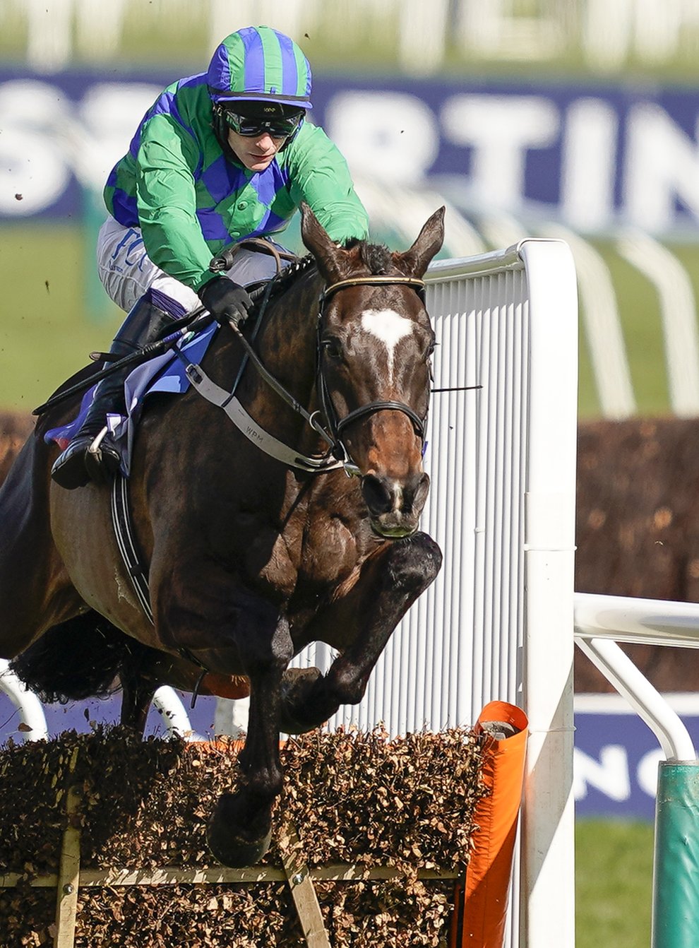 Appreciate It on his way to winning the Supreme Novices’ Hurdle (Alan Crowhurst/PA)