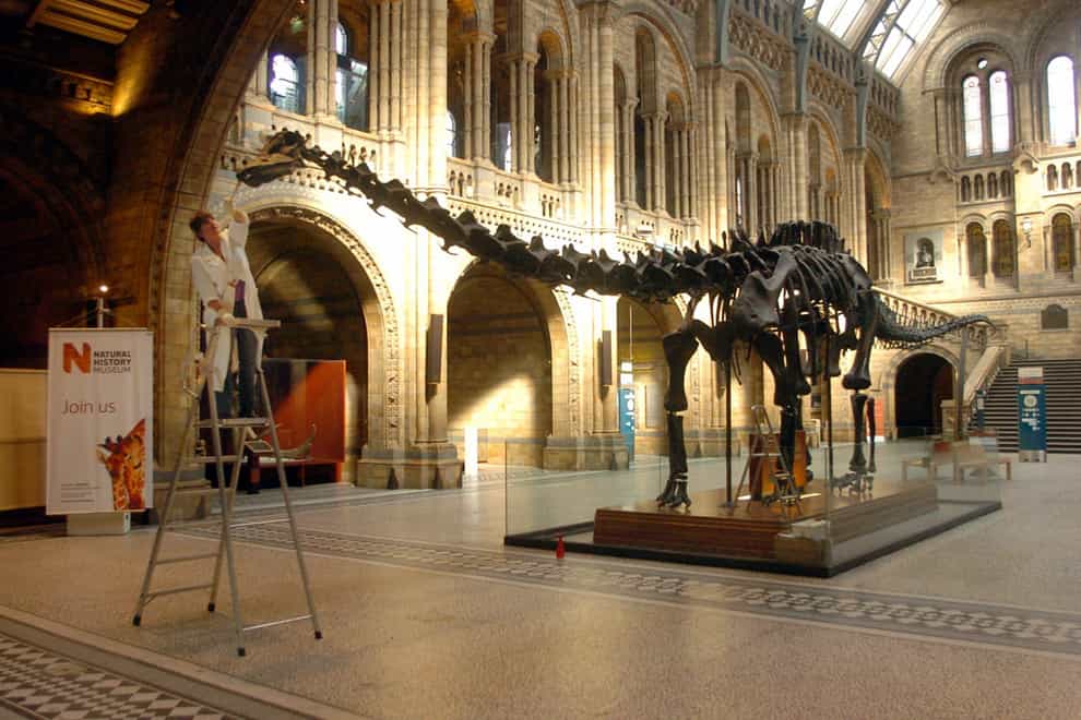 Dippy the Dinosaur is returning to the Natural History Museum after a nationwide tour (Johnny Green/PA).
