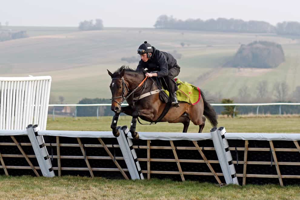 Orange to White – New white padding and boards replace the old orange in a hurdles trial at Lambourn26 Jan 2022Pic – Steven Cargill / Racingfotos.com