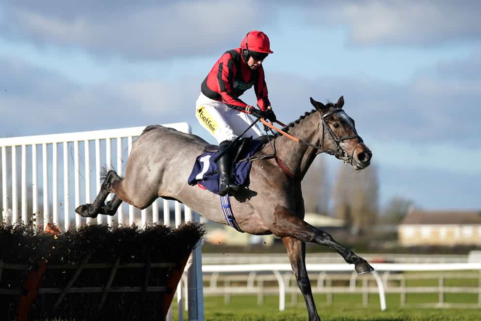 Graystone is aiming for a big-race win at Kempton this weekend (Tim Goode/PA)