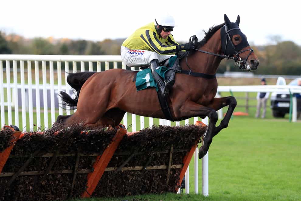 Allmankind goes back over hurdles for his Champion Chase prep (Mike Egerton/PA)