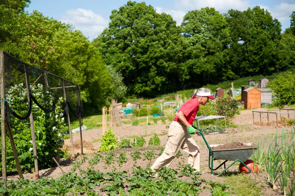 Heavy gardening can improve your fitness (Alamy/PA)