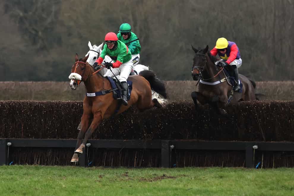 Two For Gold (left) could head to the Grand National if the ground is suitable (Steven Paston/PA)