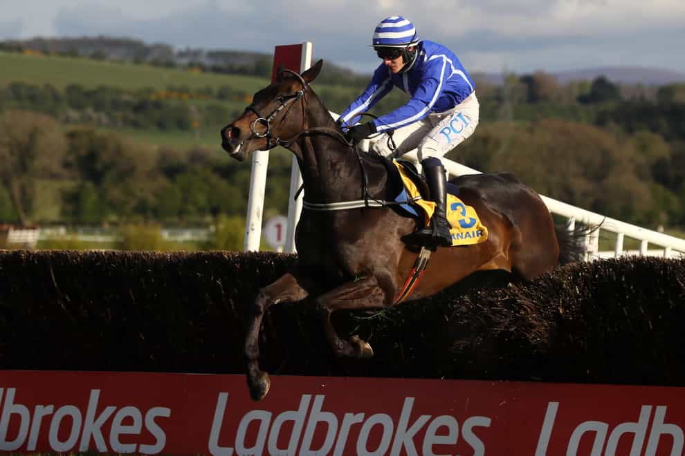 Energumene is on course for Cheltenham (Brian Lawless/PA)