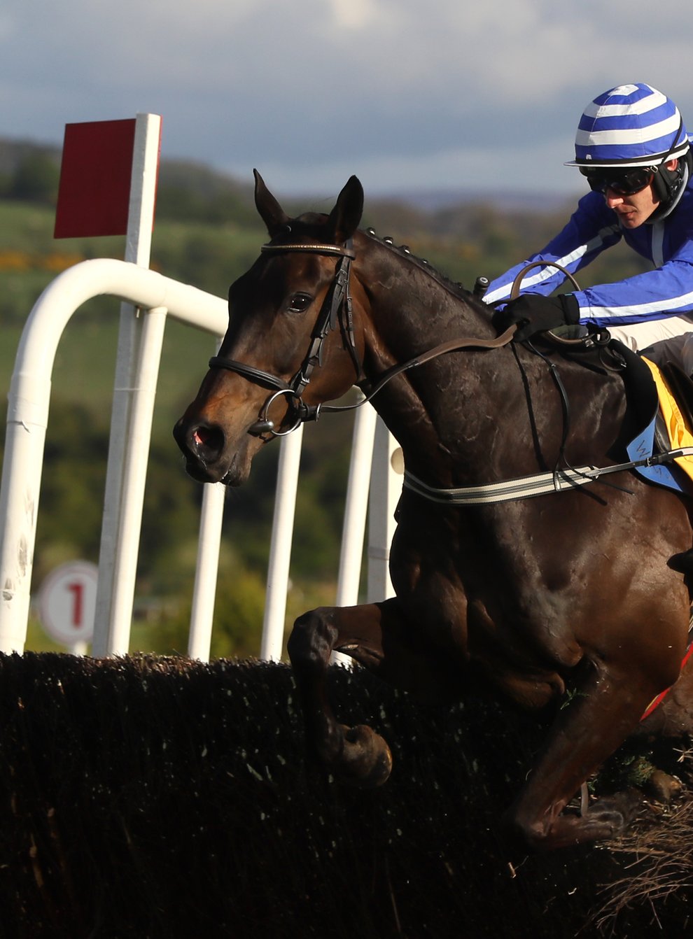 Energumene showed he was over his minor injury scare when schooling after racing at Navan (Brian Lawless/PA)