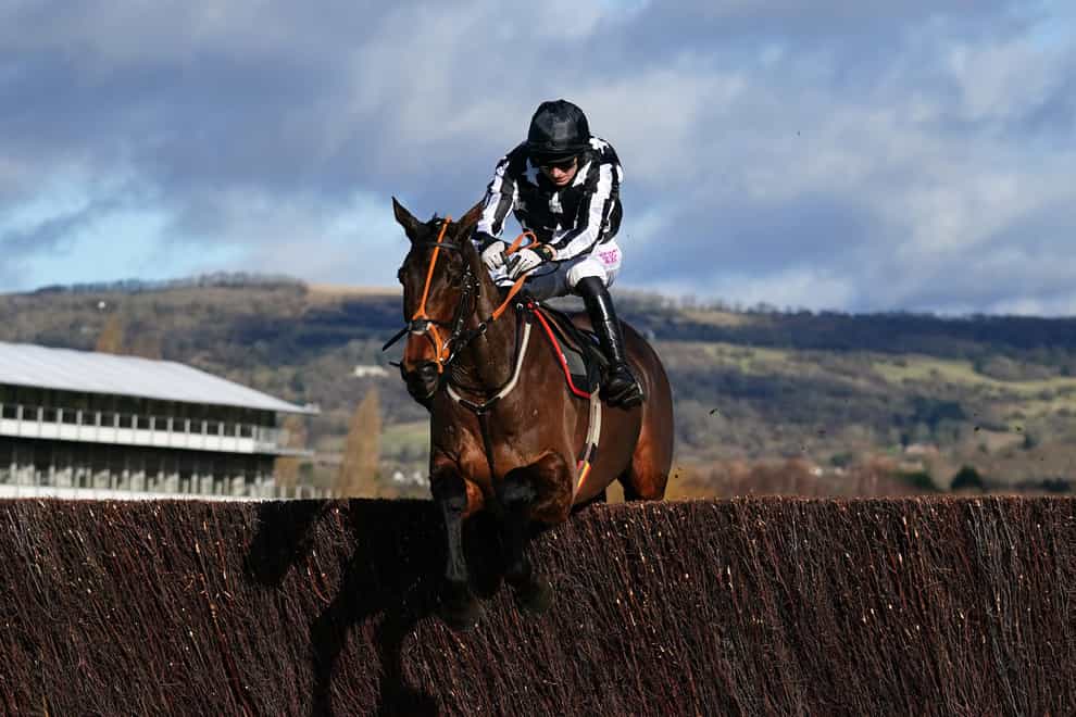 Imperial Alcazar is on course for the Paddy Power Plate Handicap Chase at Cheltenham (David Davies/PA)