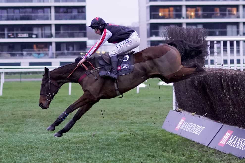 Funambule Sivola is heading for the Queen Mother Champion Chase (Alan Crowhurst/PA)