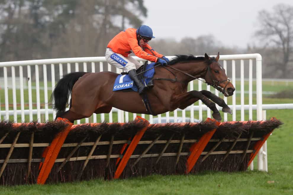 Adagio has yet to finish out of the first two in eight starts over hurdles (David Davies/PA)