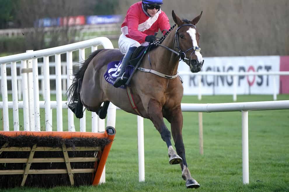 Sir Gerhard in action at Leopardstown (Niall Carson/PA)