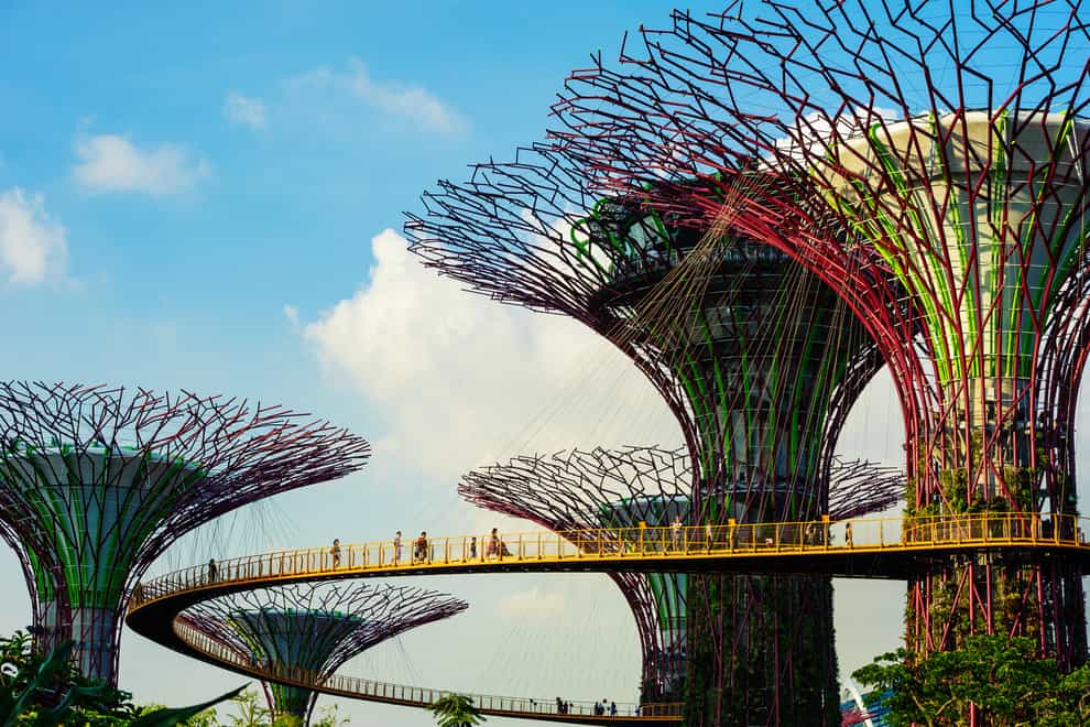 Suspended 22-metres high, the OCBC Skyway offers unrivalled views of Singapore’s Supertrees (Singapore Tourism/PA)