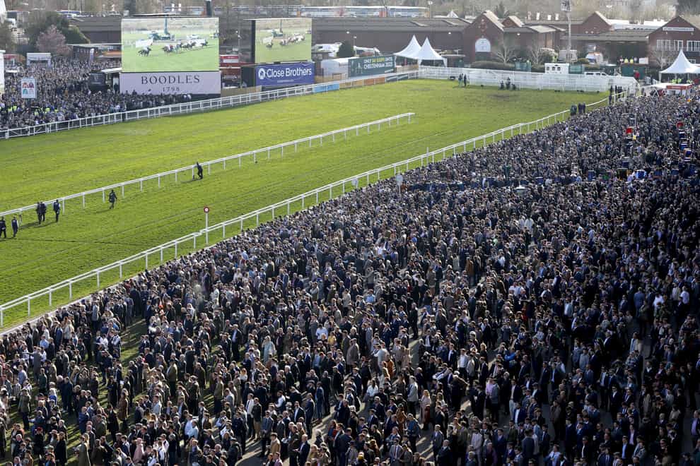 Punters had the final say in the battle with bookmakers at the Cheltenham Festival (Steven Paston/PA)