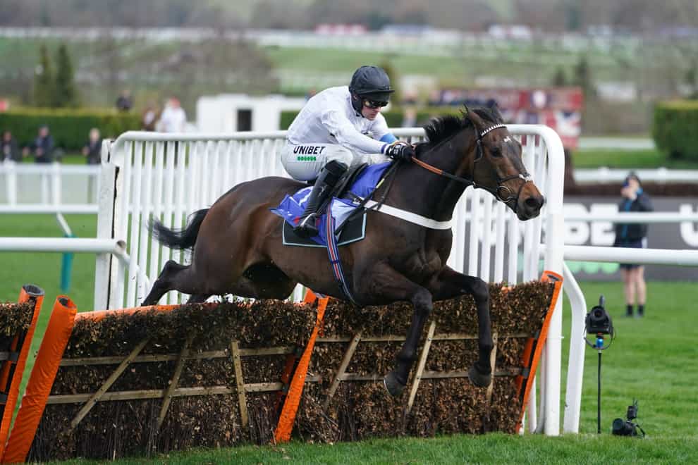 Constitution Hill could go Punchestown following his superb win in the Supreme Novices’ Hurdle at Cheltenham (Mike Egerton/PA)