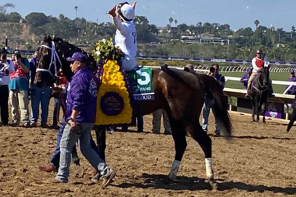 Life Is Good after winning at the Breeders’ Cup (PA)