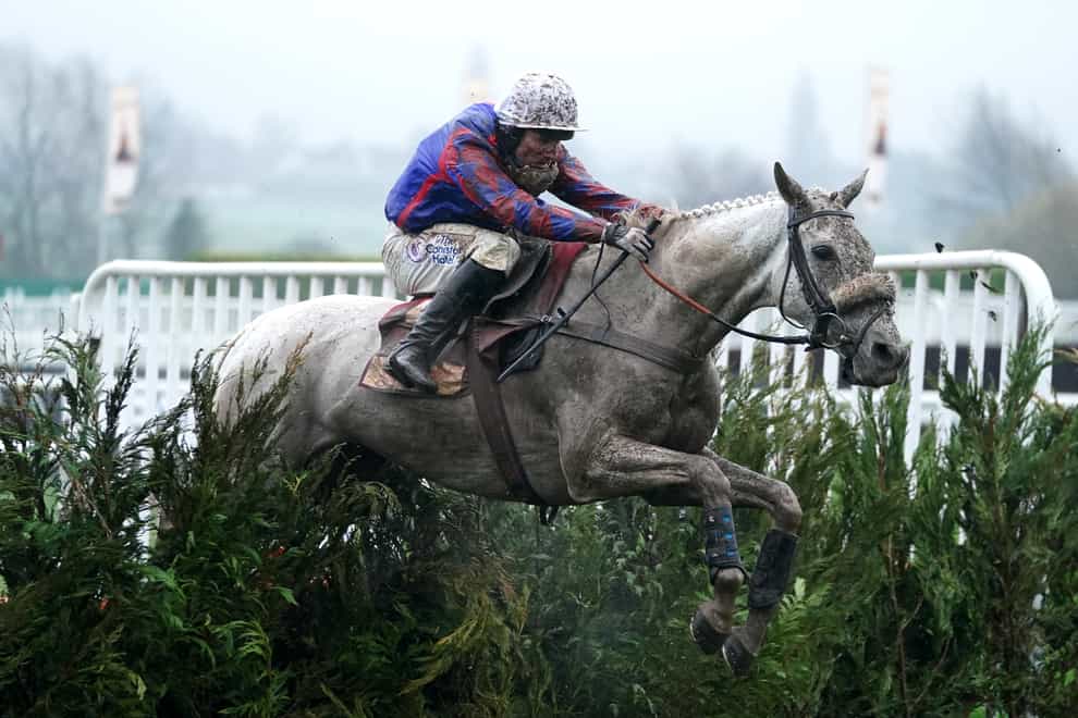 Diesel D’Allier could be bound for Punchestown after finishing fourth in the cross country chase at the Cheltenham Festival (Mike Egerton/PA)