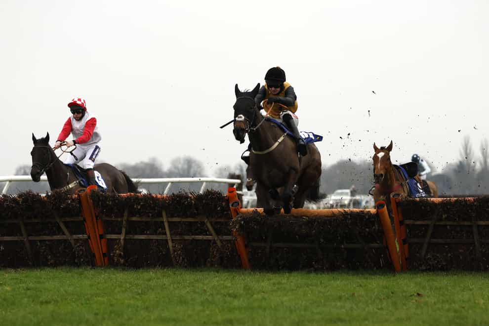 Cobblers Dream could end the campaign at either Aintree or Punchestown (Steven Paston/PA)
