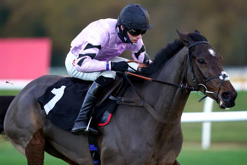 Stage Star winning the Watch Racing Free Online At Ladbrokes Novices’ Hurdle at Newbury Racecourse (Adam Davy/PA)
