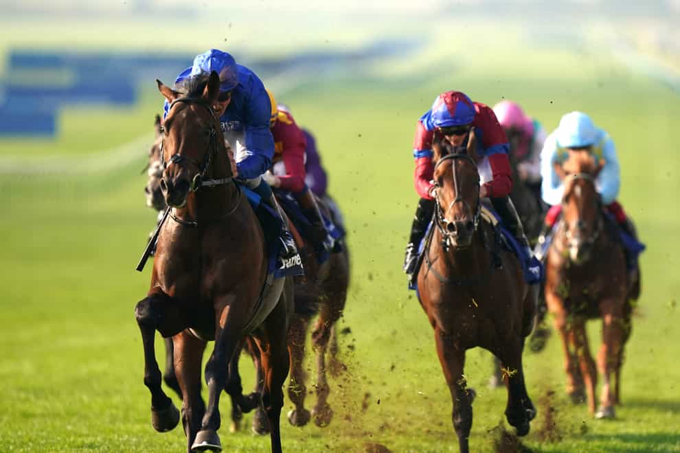 Dubawi Legend (right, quartered cap) ran a big race in the Dewhurst (Tim Goode/PA)