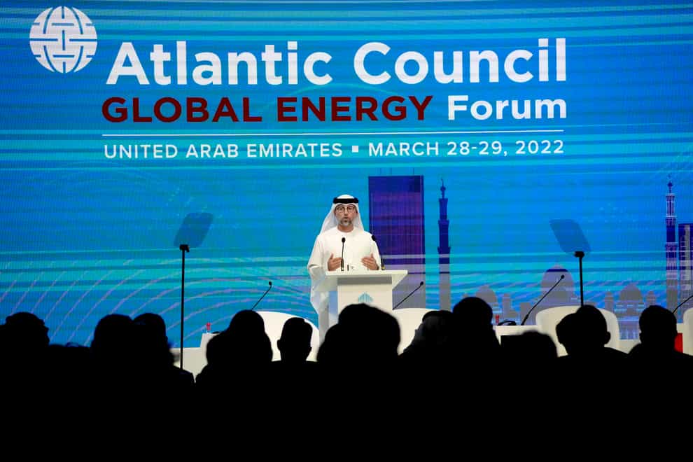 United Arab Emirates energy minister Suhail al-Mazrouei (AP)