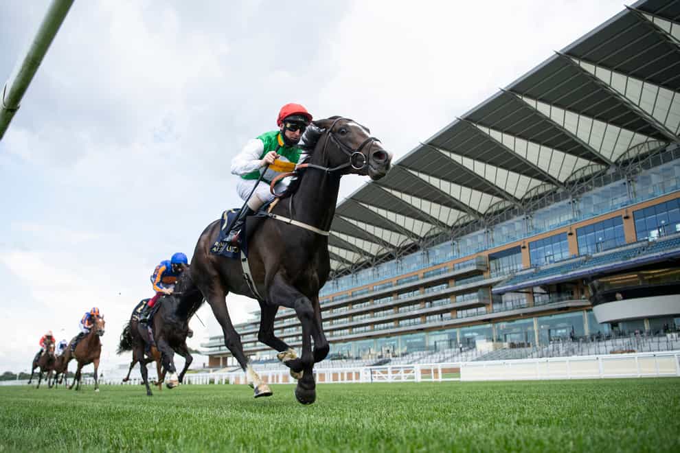 The Hong Kong Vase will be the long-term plan for Pyledriver (Edward Whitaker/PA)