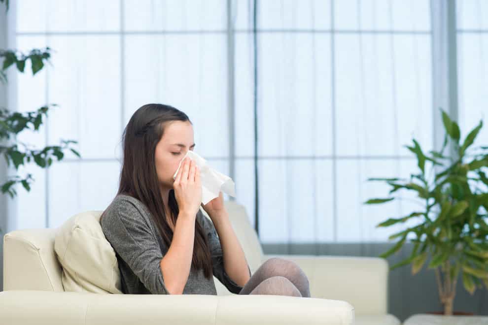 How to reduce allergens at home (Alamy/PA)