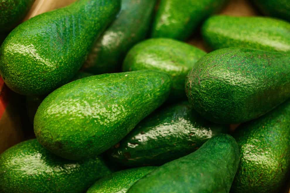 A Generic Photo of green avocados in a pile. See PA Feature FOOD Avocado. Picture credit should read: Alamy/PA. WARNING: This picture must only be used to accompany PA Feature.