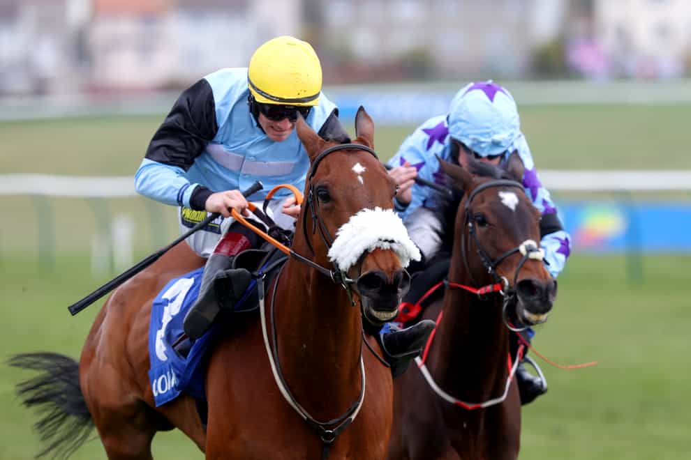 Milkwood on the way to victory last year (Jeff Holmes/PA)