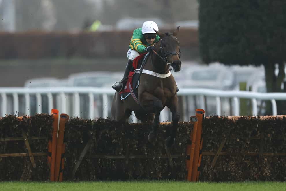 Epatante could step up in trip in the Betway Aintree Hurdle (Steven Paston/PA)