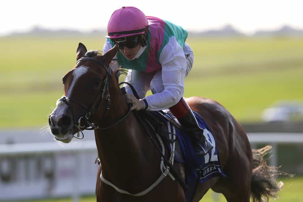 Sacred Bridge on her way to winning at the Curragh (Brian Lawless/PA)