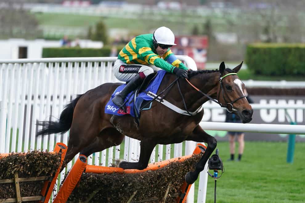 Jonbon was second in the Supreme at Cheltenham (Mike Egerton/PA)