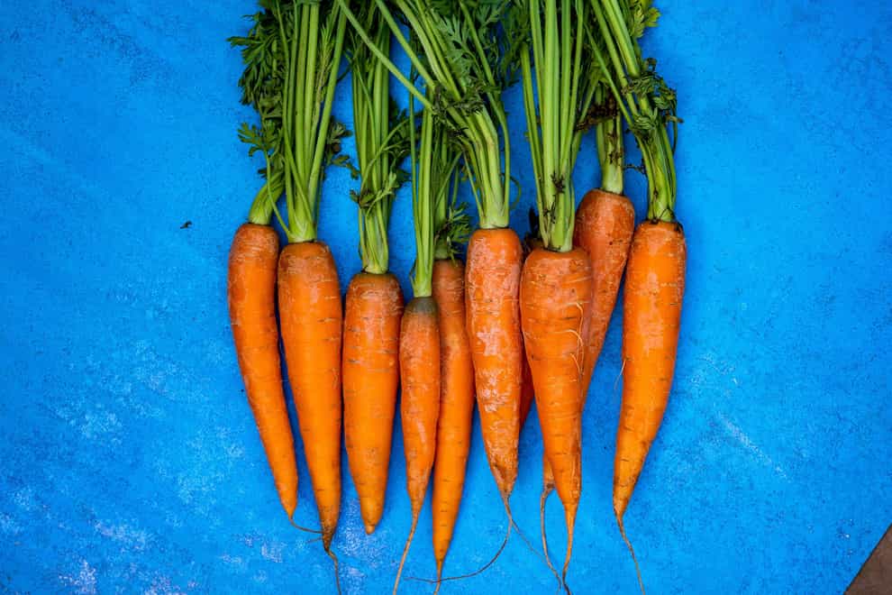 It’s International Carrot Day on April 4 (Alamy/PA)