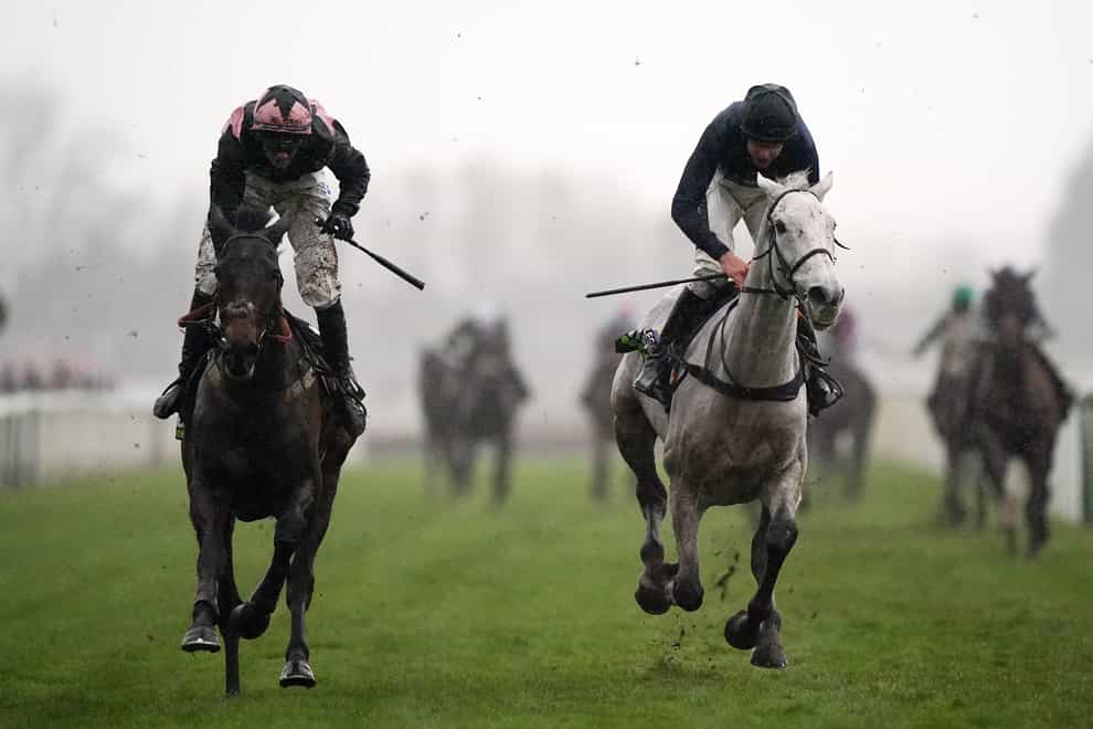 Snow Leopardess (right) would be a fairytale winner of the National (Tim Goode/PA)