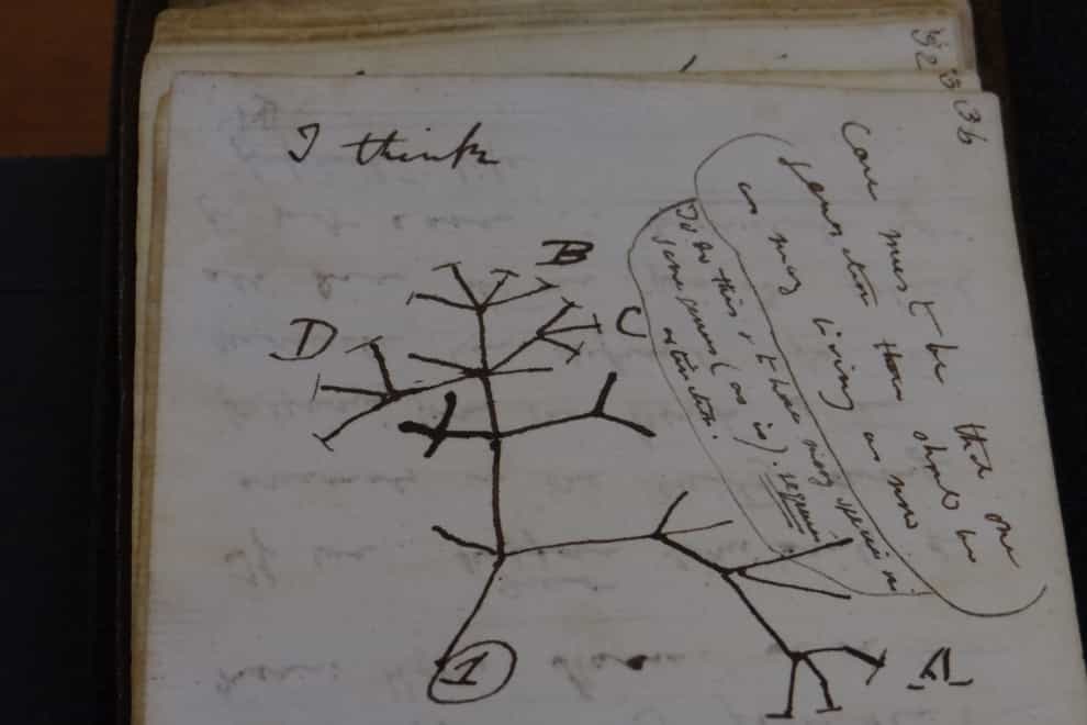 One of the notebooks that was anonymously returned (Cambridge University Library/ PA)