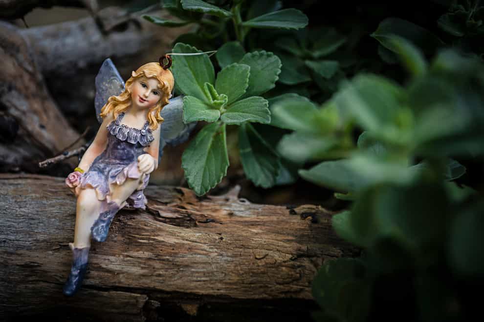 Create a fairy garden this Easter (Alamy/PA)