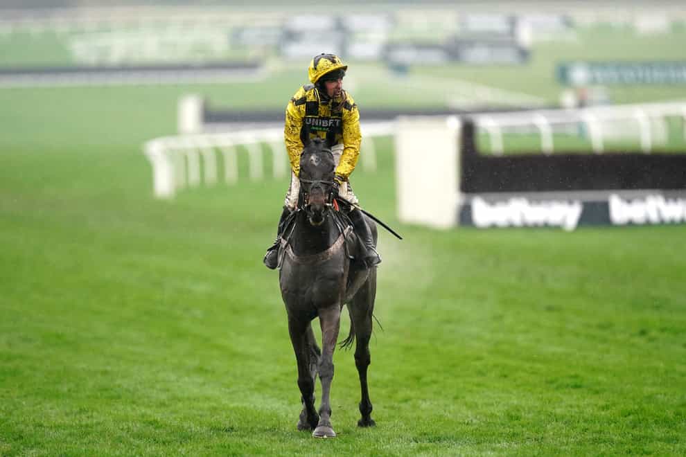 Shishkin after being pulled up in the Queen Mother Champion Chase (Mike Egerton/PA)