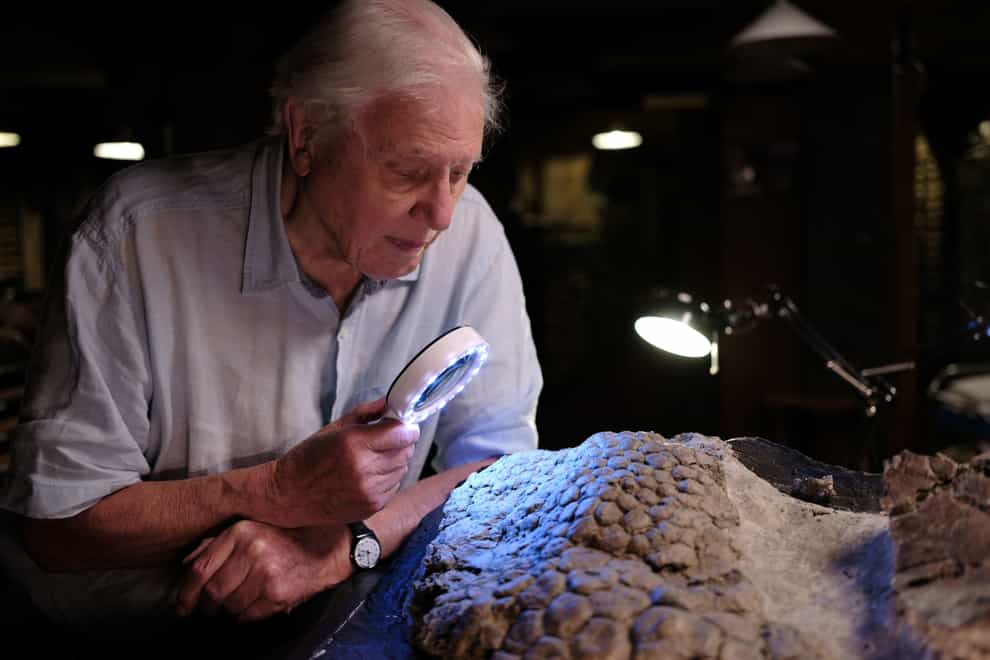Sir David Attenborough looks at fossilised Triceratops skin through a magnifying glass (BBC/PA)