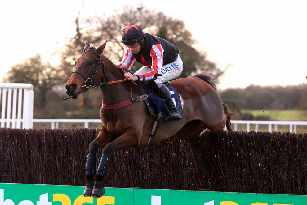 Funambule Sivola was second in the Champion Chase (Mike Egerton/PA)