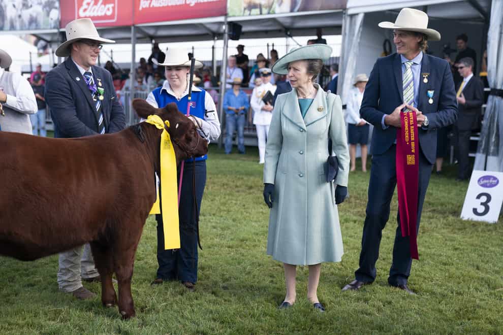 The Princess Royal awards ribbons at the Sydney Royal Cattle Show (Kirsty O’Connor/PA)