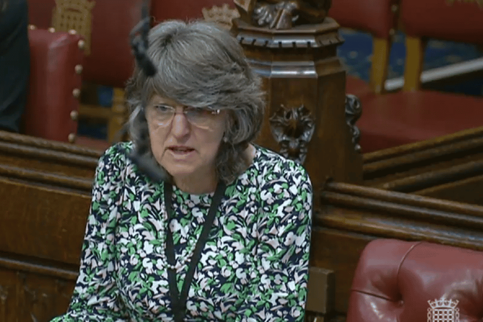 Baroness Finlay has been waiting for three weeks for progress which will allowe a mother and two children to travel the UK (House of Lords/PA)
