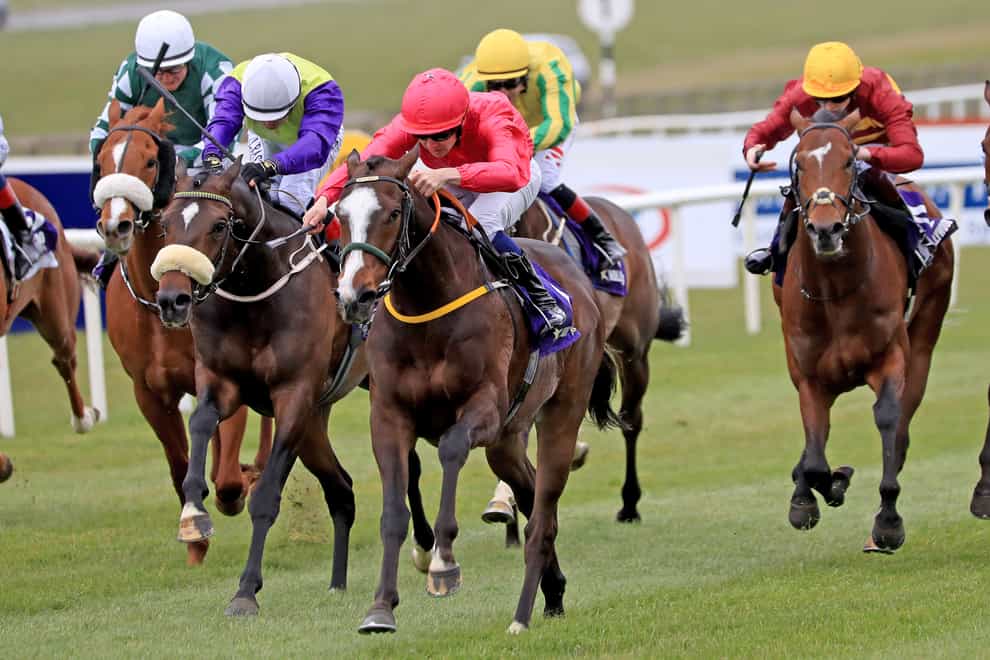 Layfayette (pink) lunges late to win the Alleged Stakes at the Curragh (Donall Farmer/PA)
