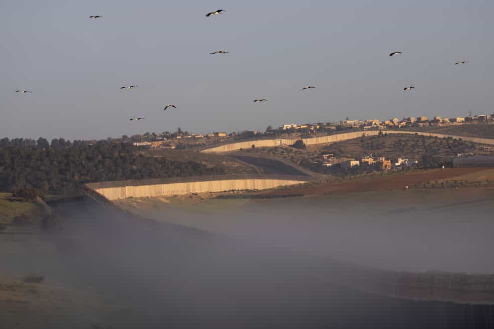 Storks fly over a section of Israel’s separation barrier, between the Israeli Kibbutz Kramim and the West Bank village of Arab al Fureijat (AP)