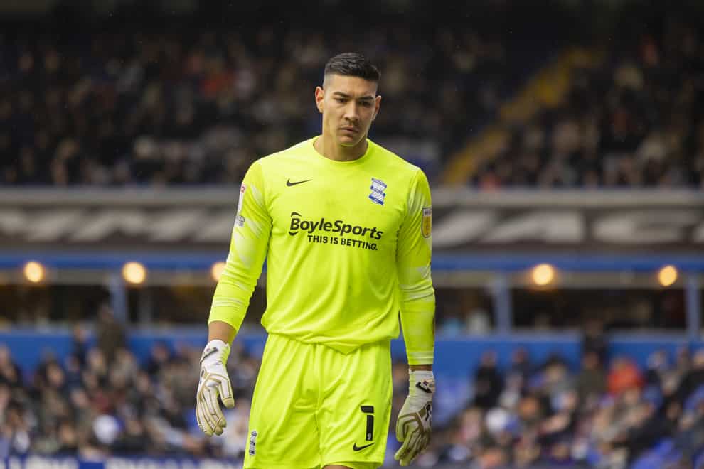 Neil Etheridge will not be available for selection as he recovers from concussion (Leila Coker/PA)