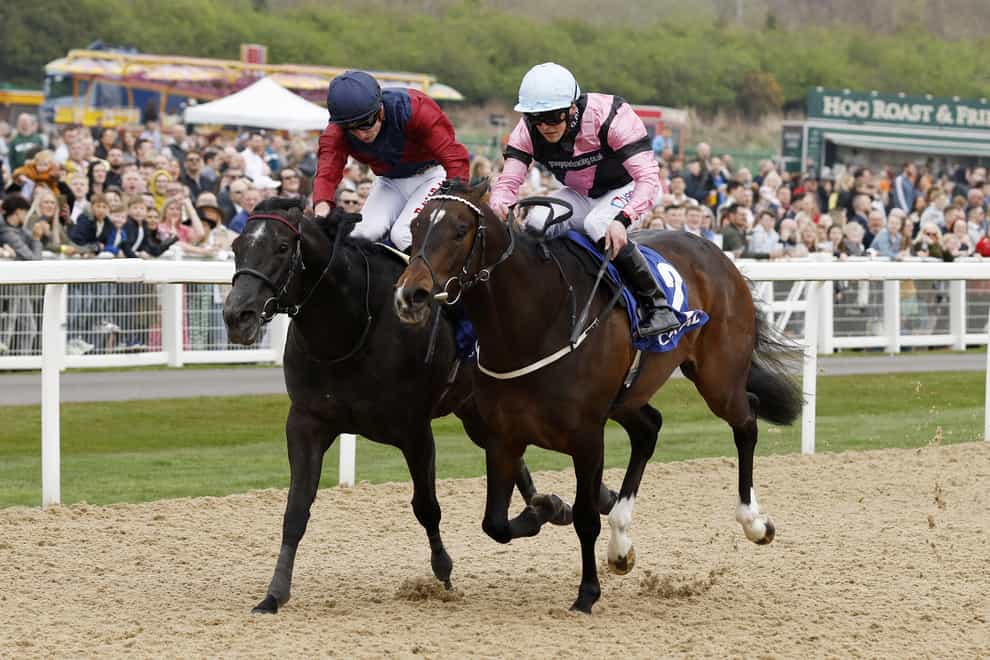 El Caballo (right) just held on to victory at Newcastle (Richard Sellers/PA)