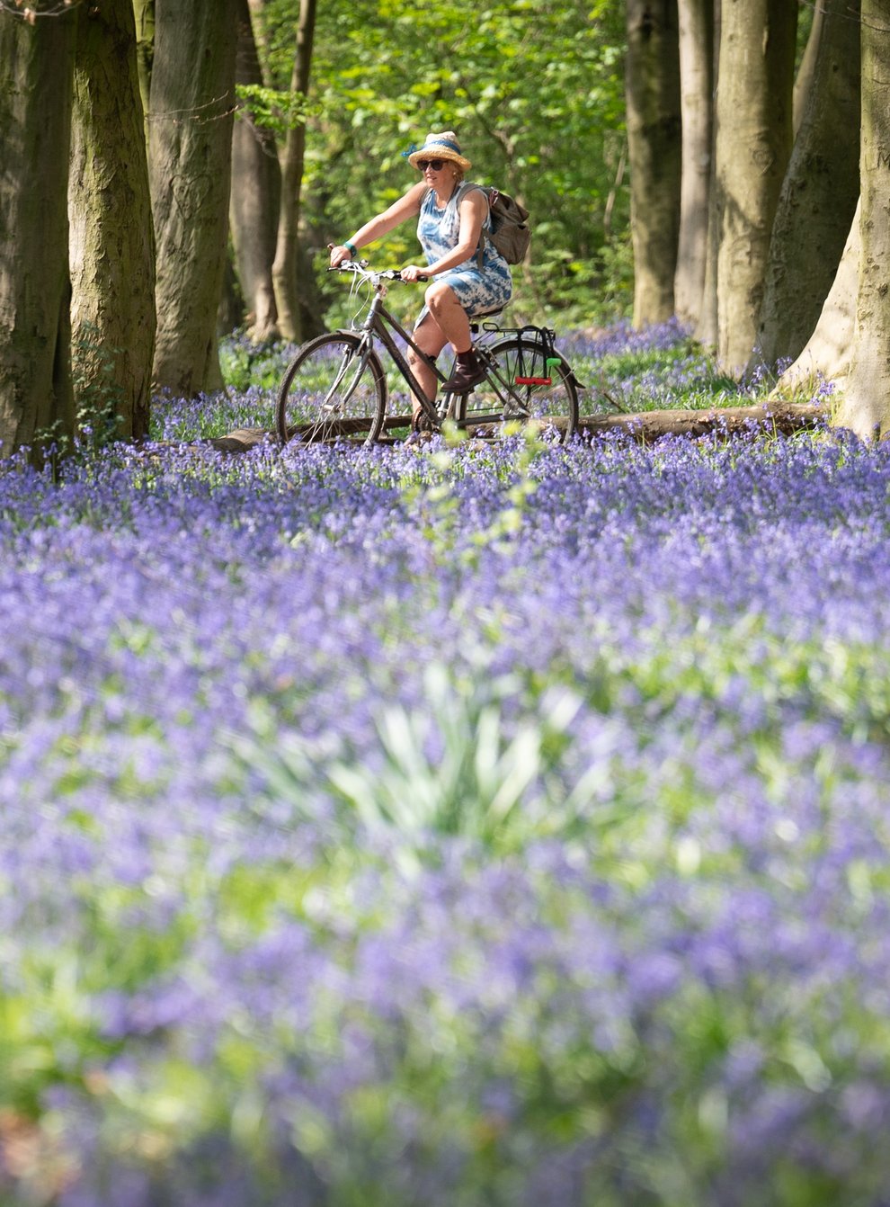 A visitor to Wanstead Park in east London cycles past this year’s bluebells (Stefan Rousseau/PA)