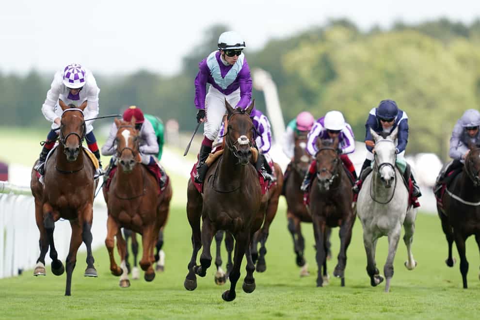 Alcohol Free won the third Group One of her career in the Sussex Stakes (John Walton/PA)