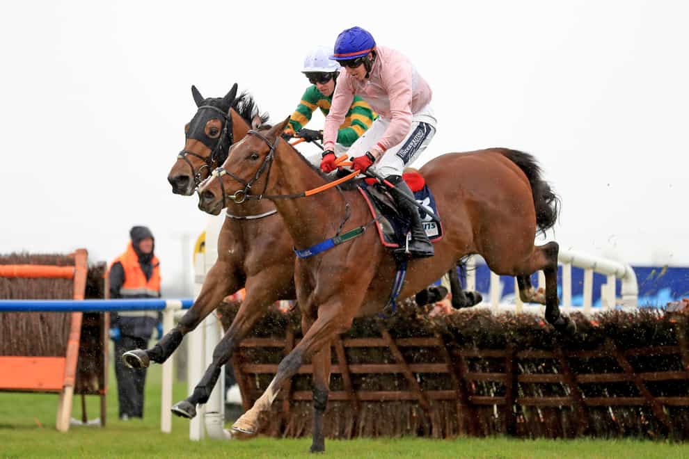Imperial Ruler (pink) on his way to victory (Donall Farmer/PA)