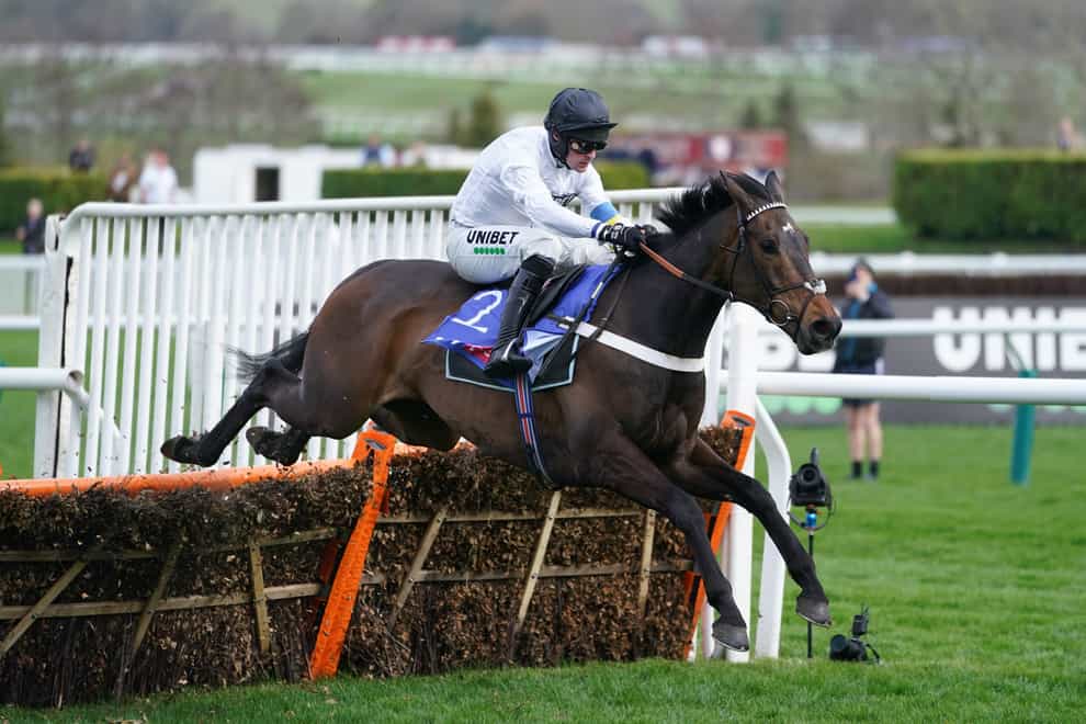 Constitution Hill on his way to winning the Supreme Novices’ Hurdle (Mike Egerton/PA)