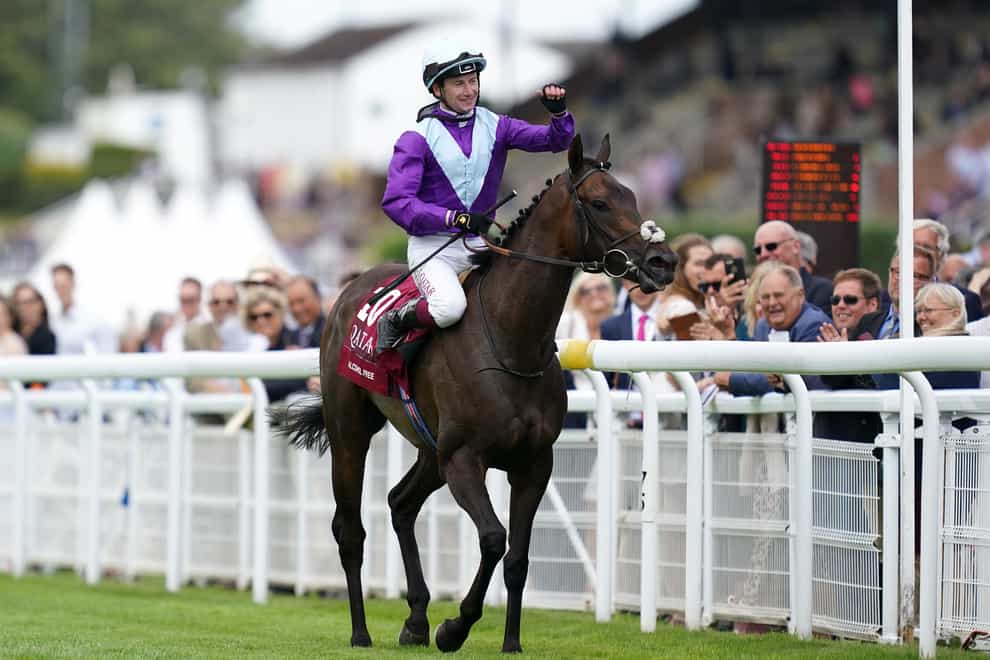 Alcohol Free, here winning the Qatar Sussex Stakes, makes her return at Sandown on Friday (John Walton/PA)